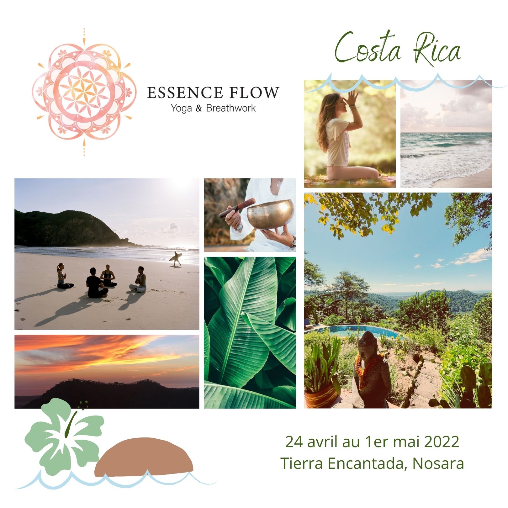 Essence FLOW Yoga & Breathwork au Costa Rica