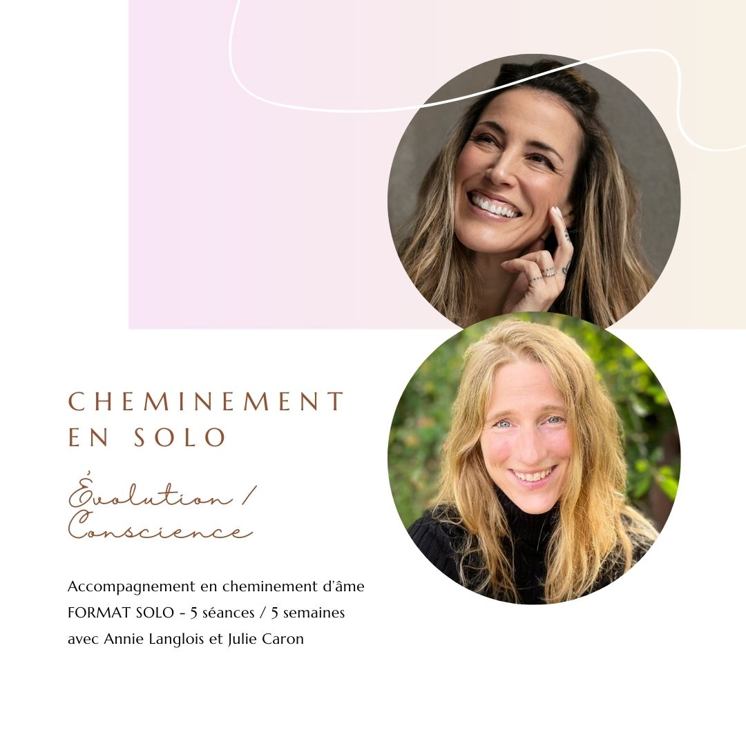 Cheminement évolutif - EN SOLO