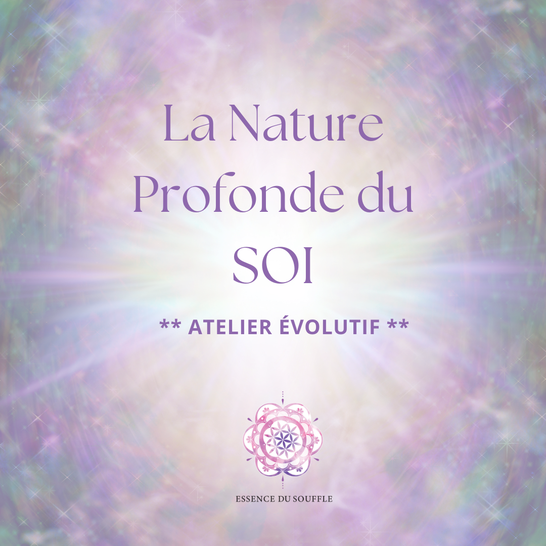La Nature profonde du SOI - Atelier évolutif