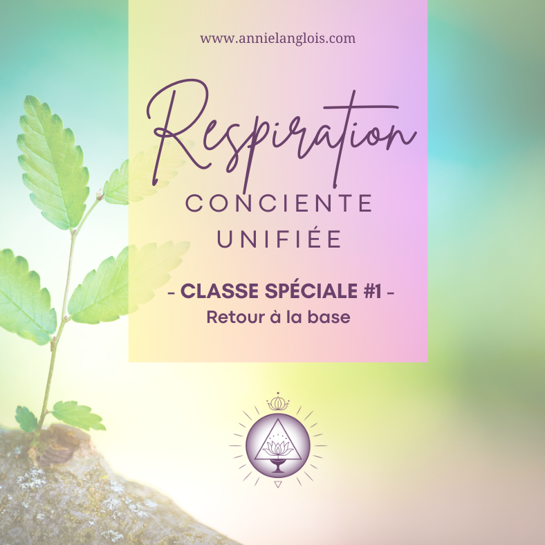 Classe spéciale unifiée #1 - Retour à la base