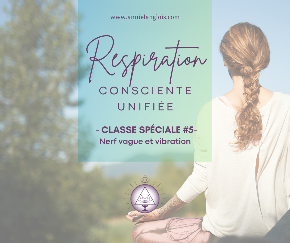 Série de classes spéciales #5 – Nerf vague et vibration