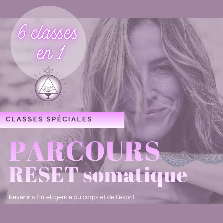 Classe spéciale unifiée #1 à #6 - Paquet de 6